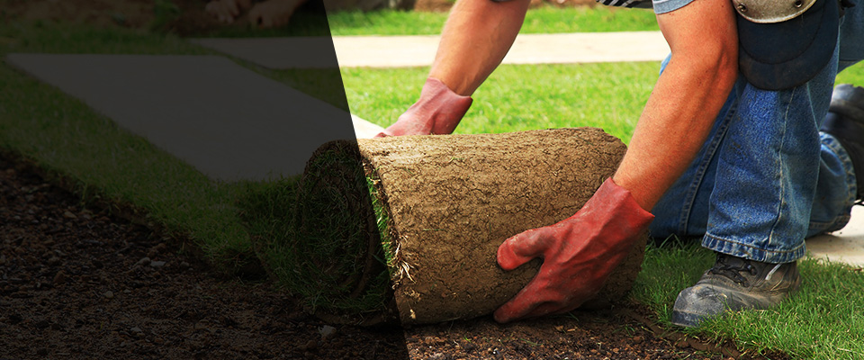 Geneva Landscapers